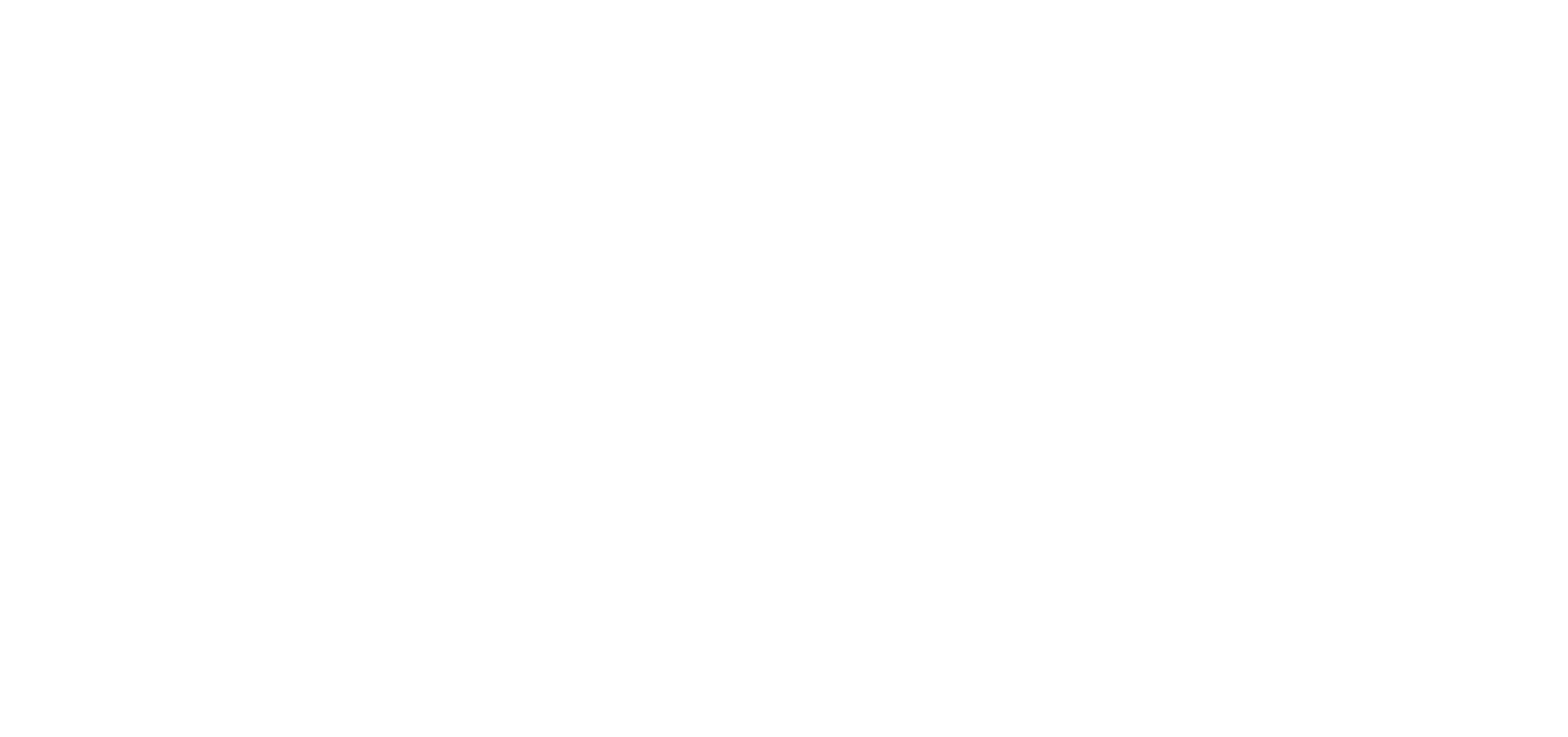 Sergio Tacchini Logo